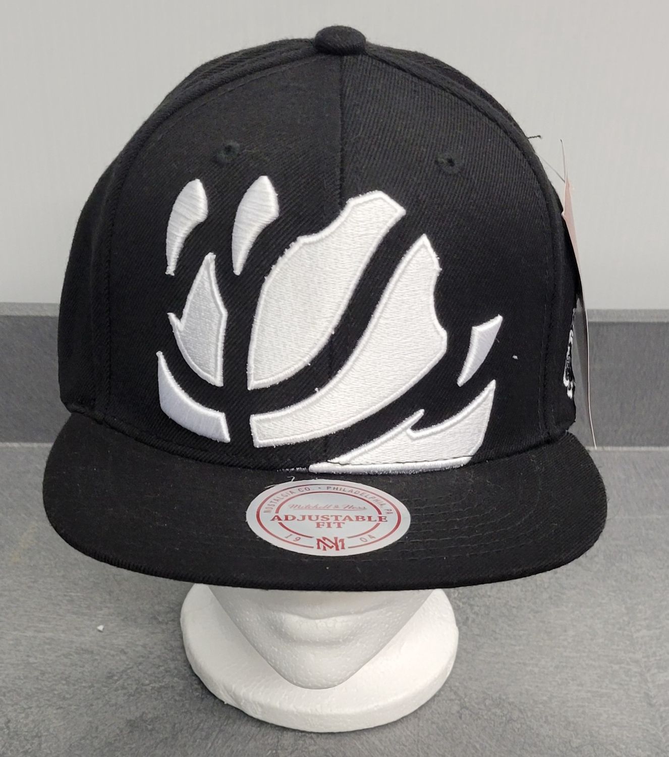 NBA Raptor NegSpace Hat