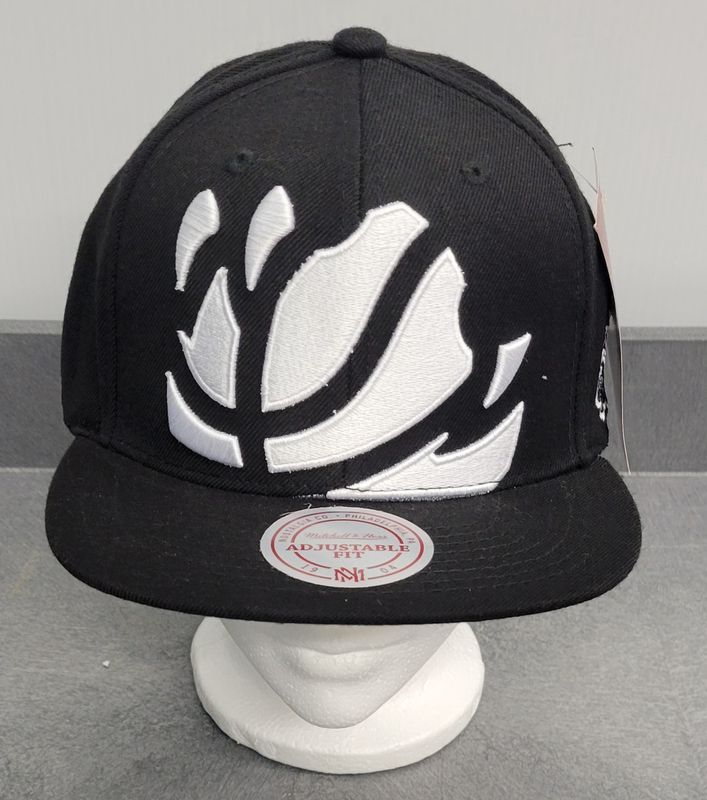 NBA Raptor NegSpace Hat