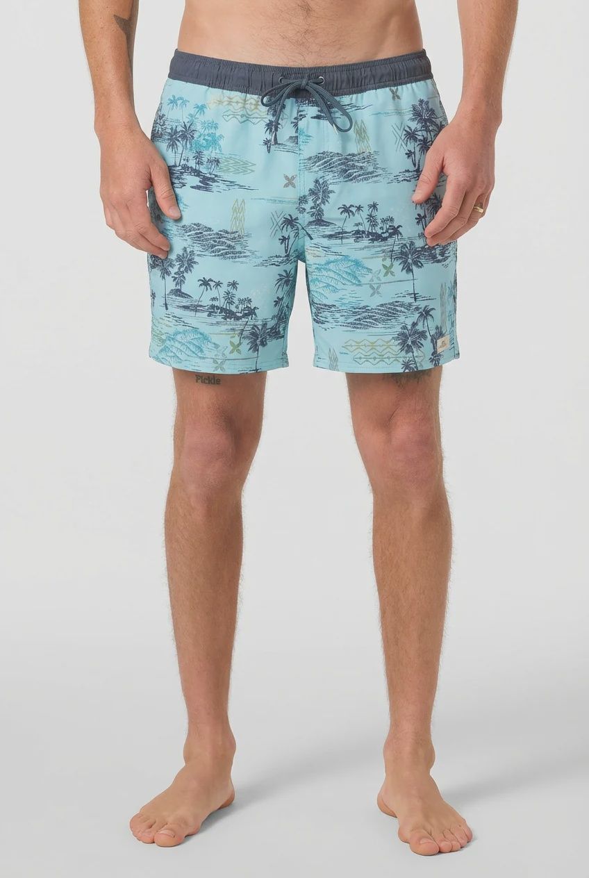 Hermosa Lined 17' Volley Short