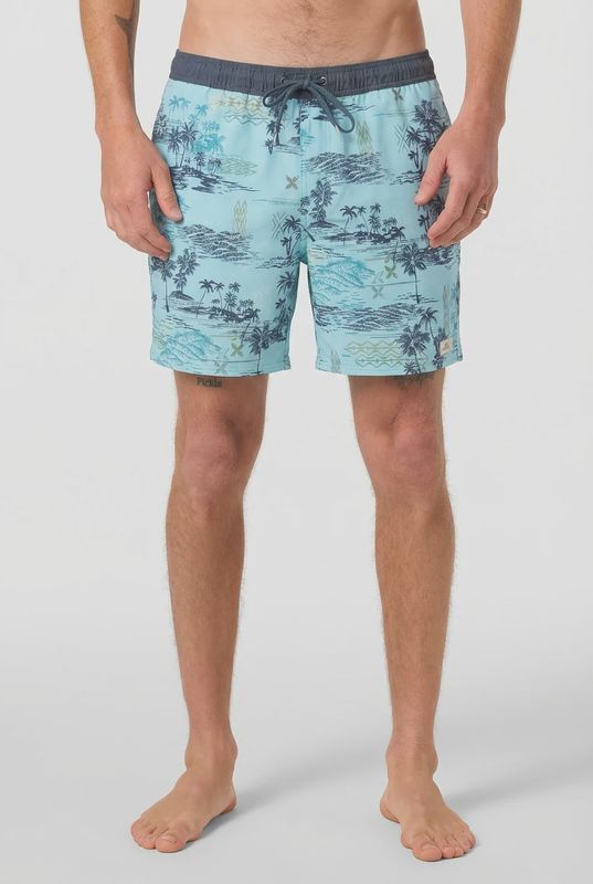 Hermosa Lined 17' Volley Short