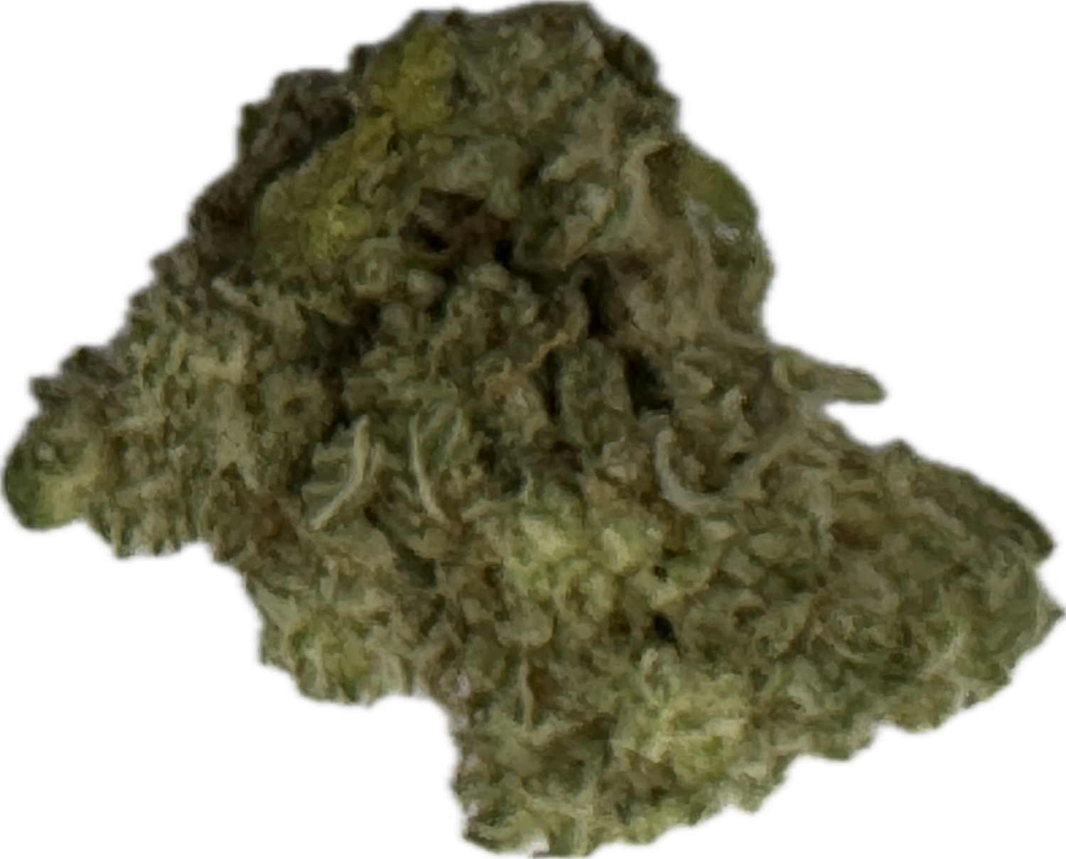 Flower: Gorilla Glue 4 THC 26% .5 Ounce HYBRID