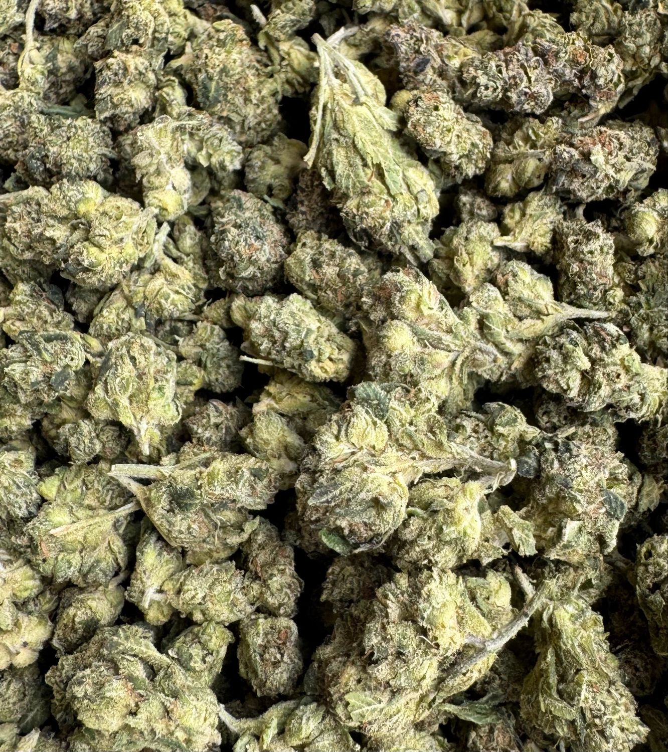 Flower: LA Pop Rocks (minis) THC: 21% 1 Ounce HYBRID