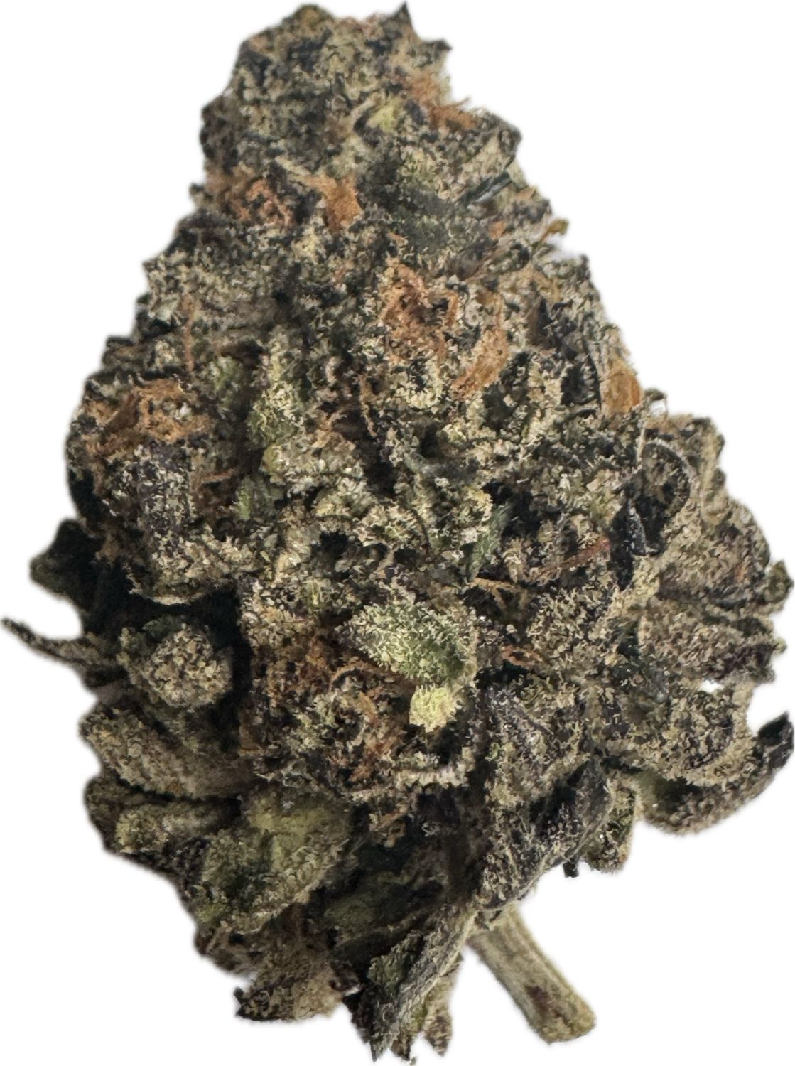 Flower: Black Truffle THC: 23% 1 Ounce INDICA