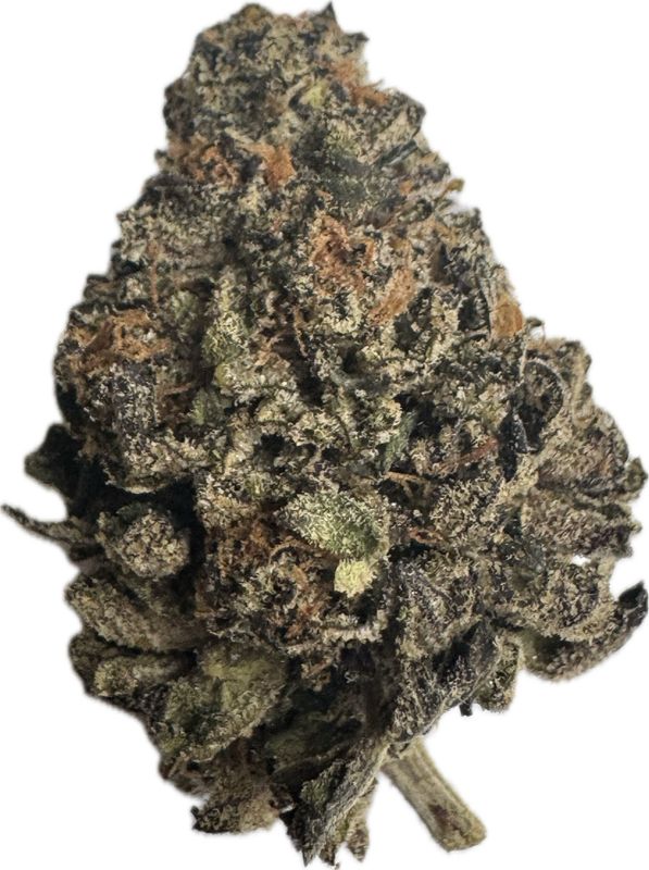 Flower: Black Truffle THC: 23% 3.5g INDICA