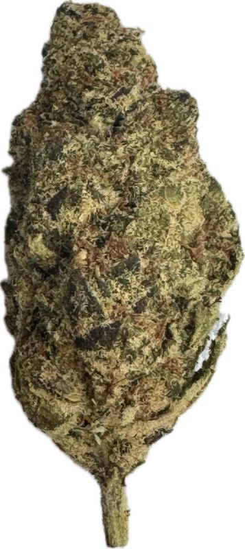 Flower: Grape Gas THC: 24% 0.5 Ounce HYBRID