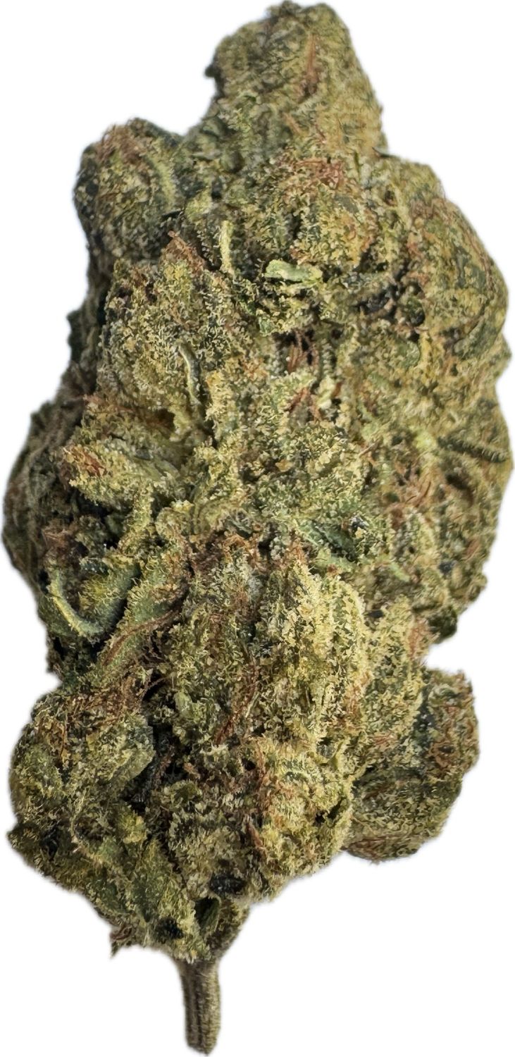 Flower: Kosher Kush THC: 24% 1 Ounce INDICA