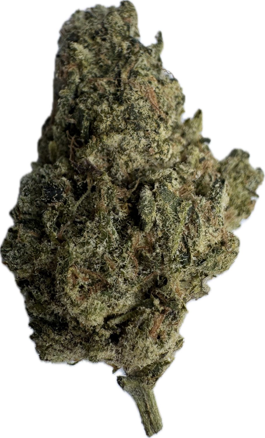 Flower: Purple Push Pop THC: 26% 1 Ounce INDICA