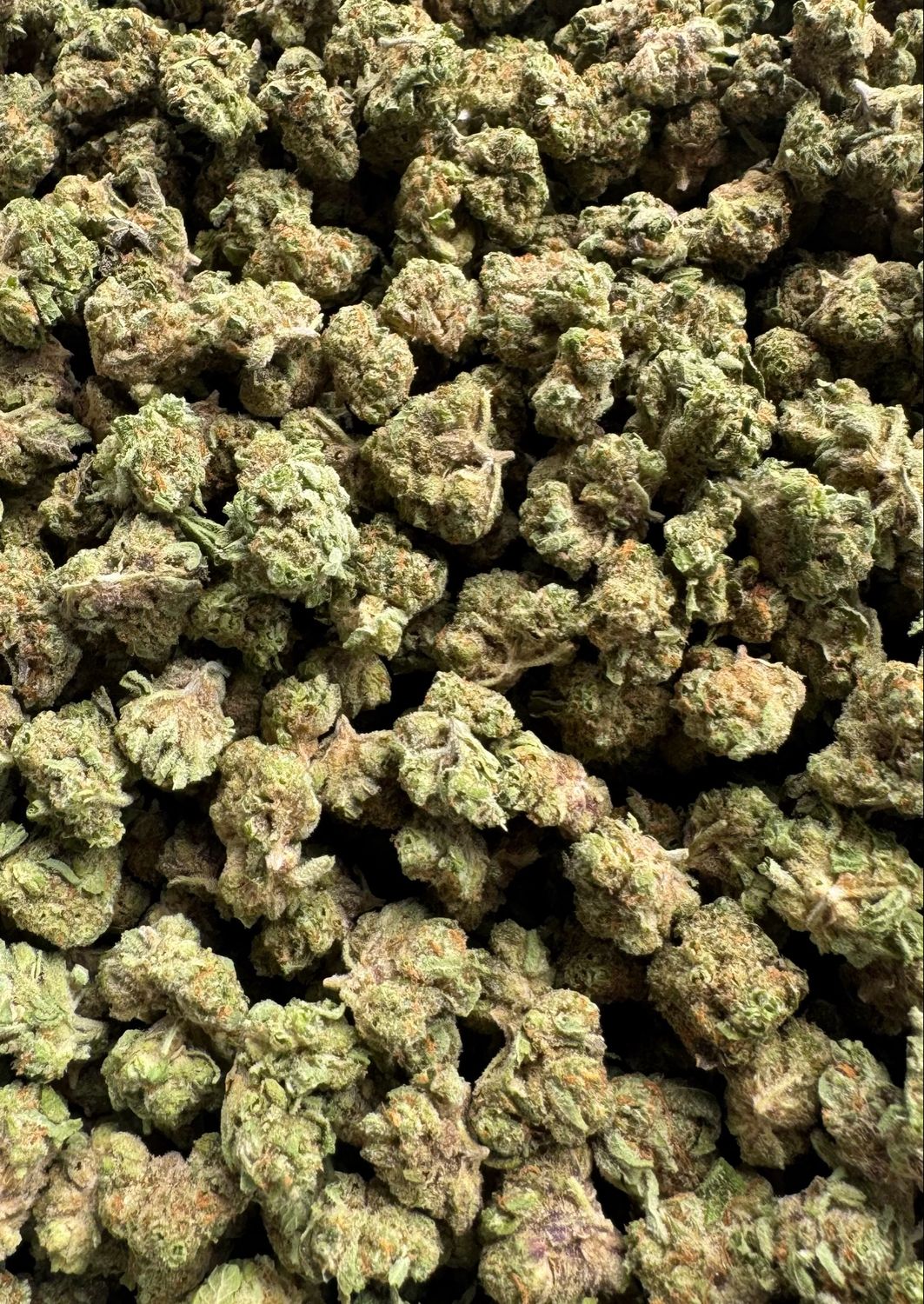Flower: 24 Karatz #13 THC: 21% 1 Ounce HYBRID