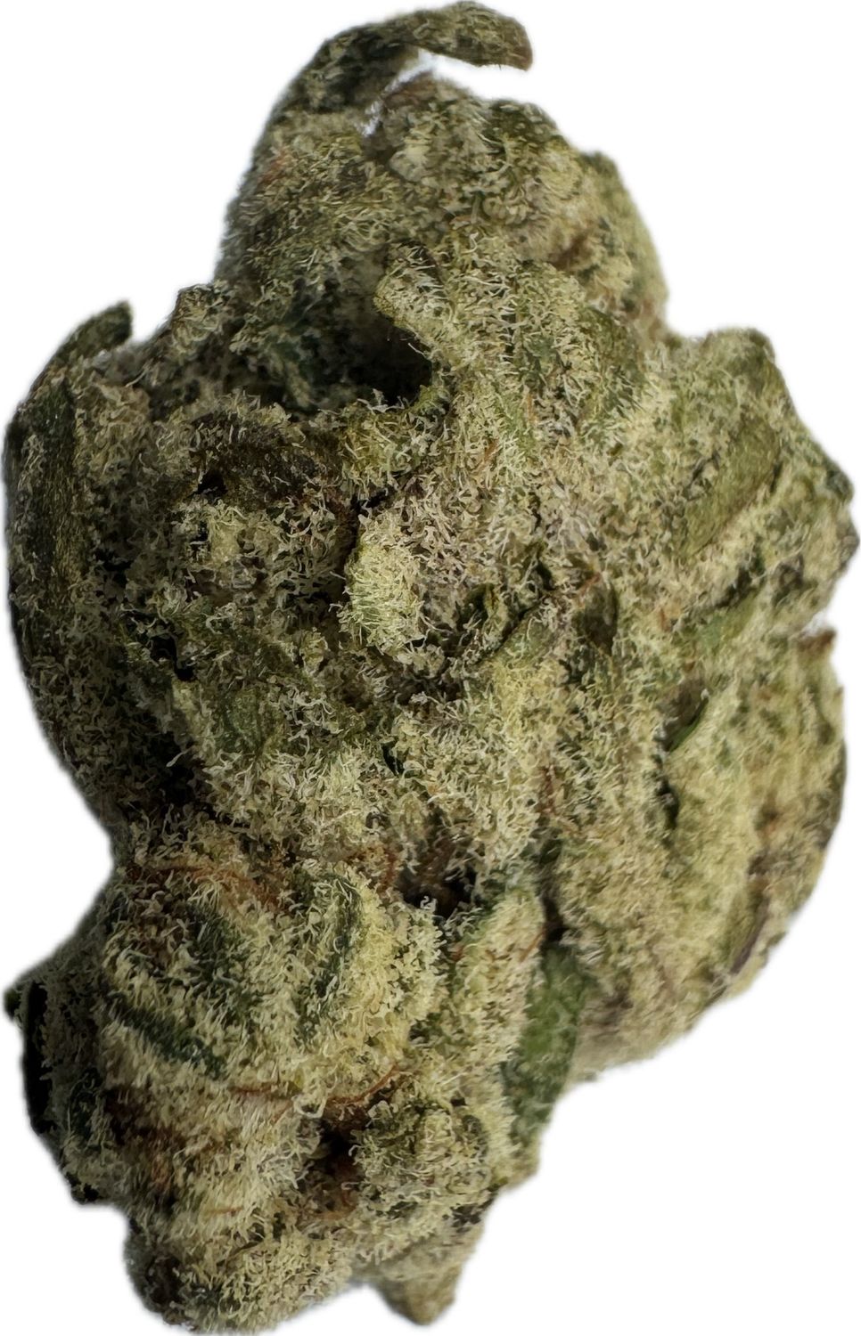 Flower: Zkittles x Georgie Pie THC: 24% 0.5 Ounce HYBRID