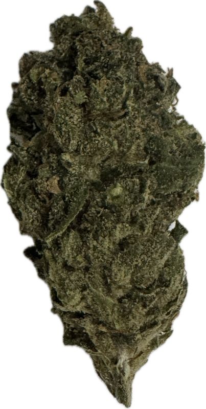 Flower: Venom Runtz THC: 22% 1 Ounce INDICA/HYBRID