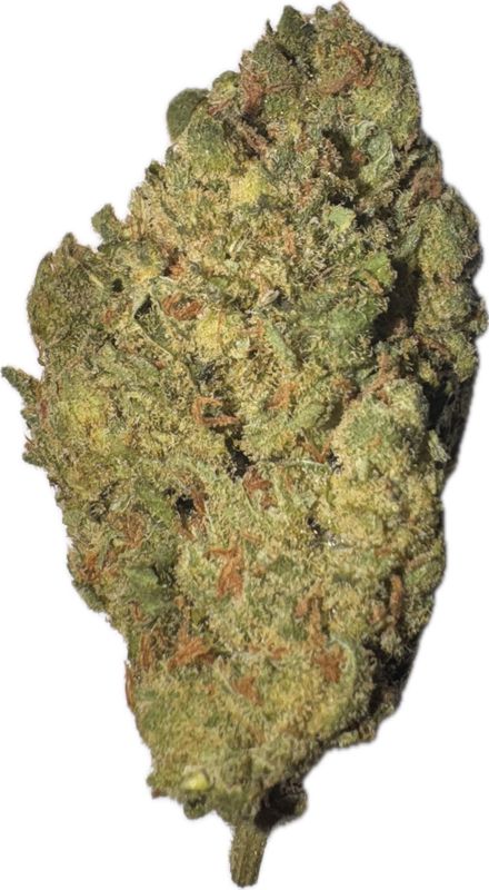 Flower: Jack Herer THC: 24% 1 Ounce SATIVA