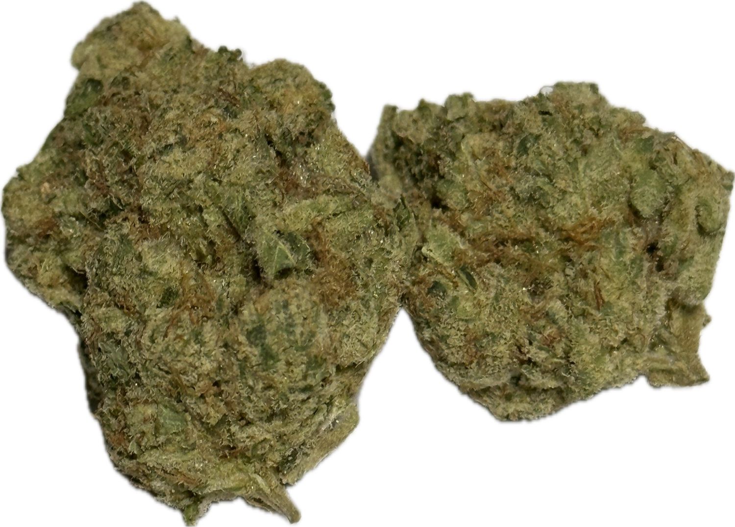 Flower: Ghost Train Haze THC: 23% 3.5 Grams HYBRID/ SATIVA