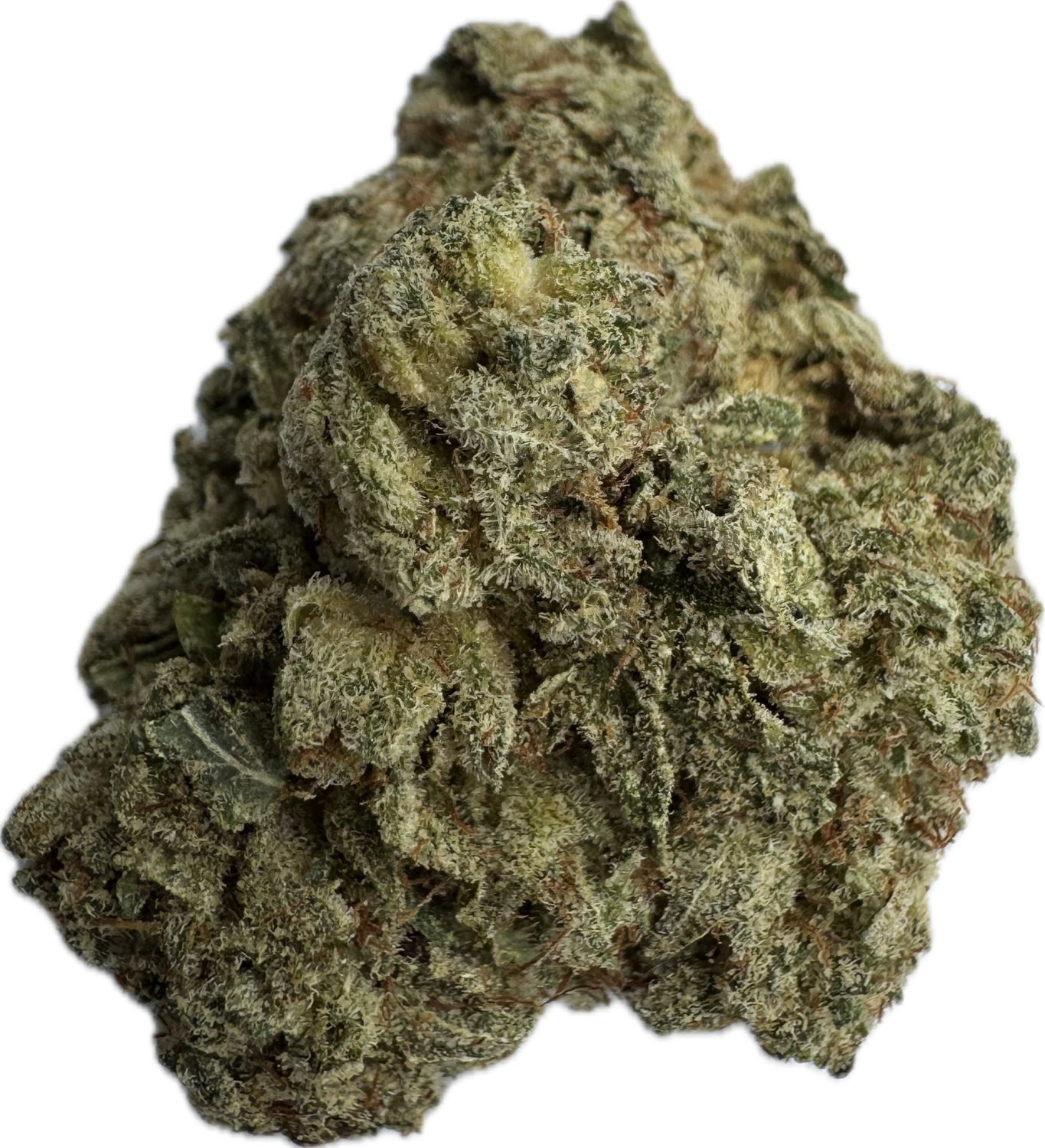 Flower: Gumball THC: 24% 0.5 Ounce HYBRID