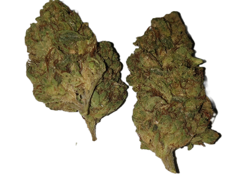 Flower: Thin Mint Jealousy THC: 26% 1 Ounce HYBRID