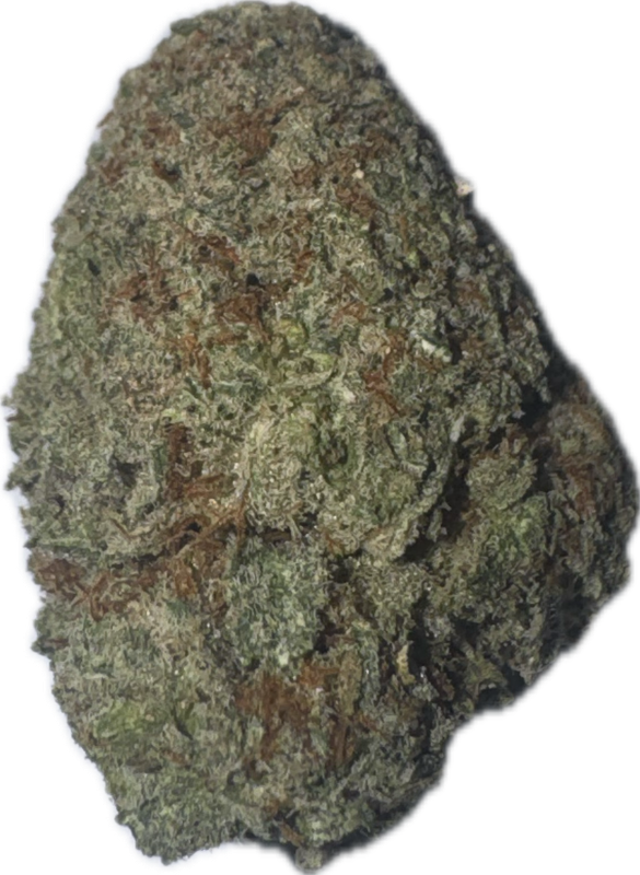 Flower: Gelato Mintz THC: 24% 3.5g HYBRID