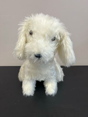 White dog