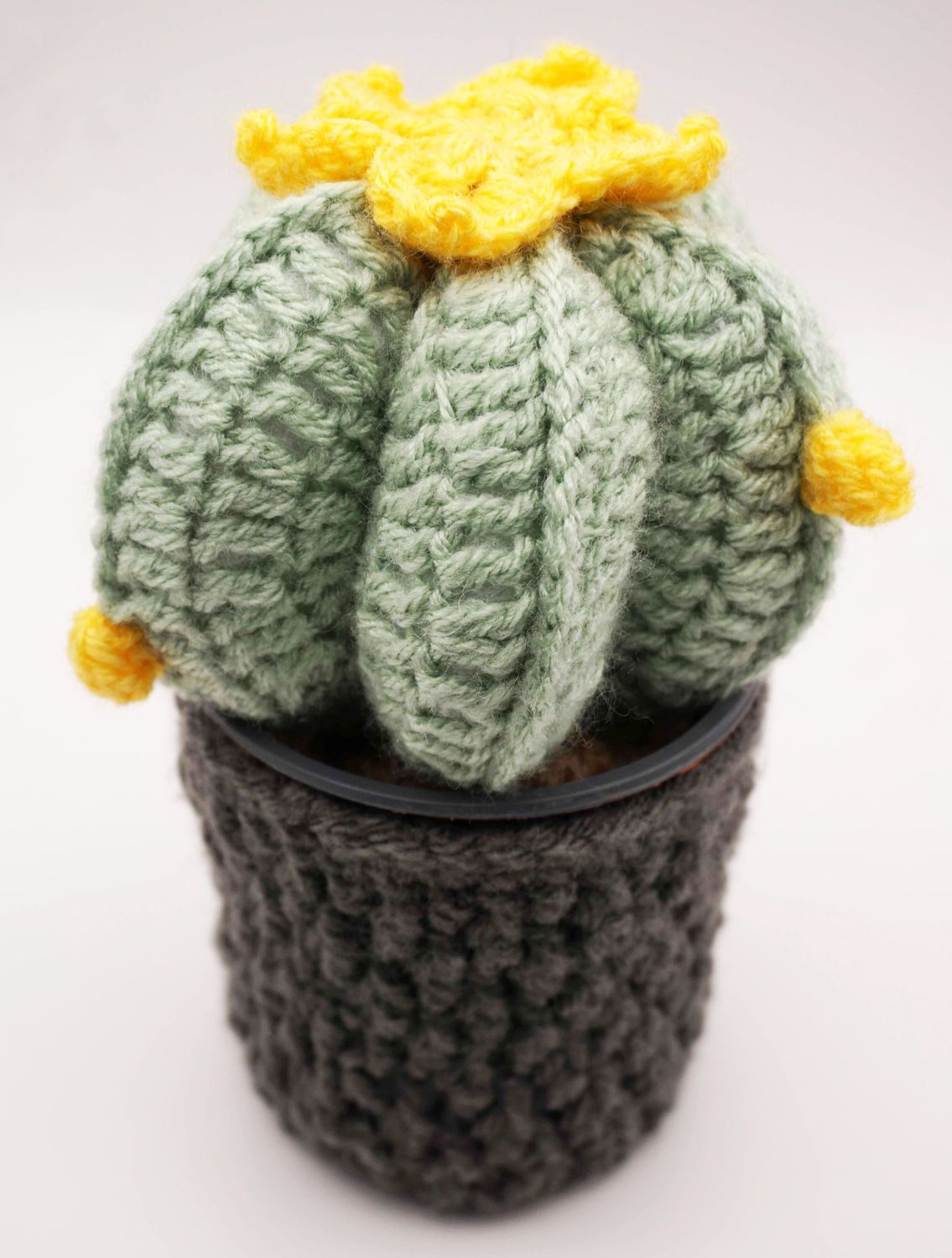 Crochet Cactus