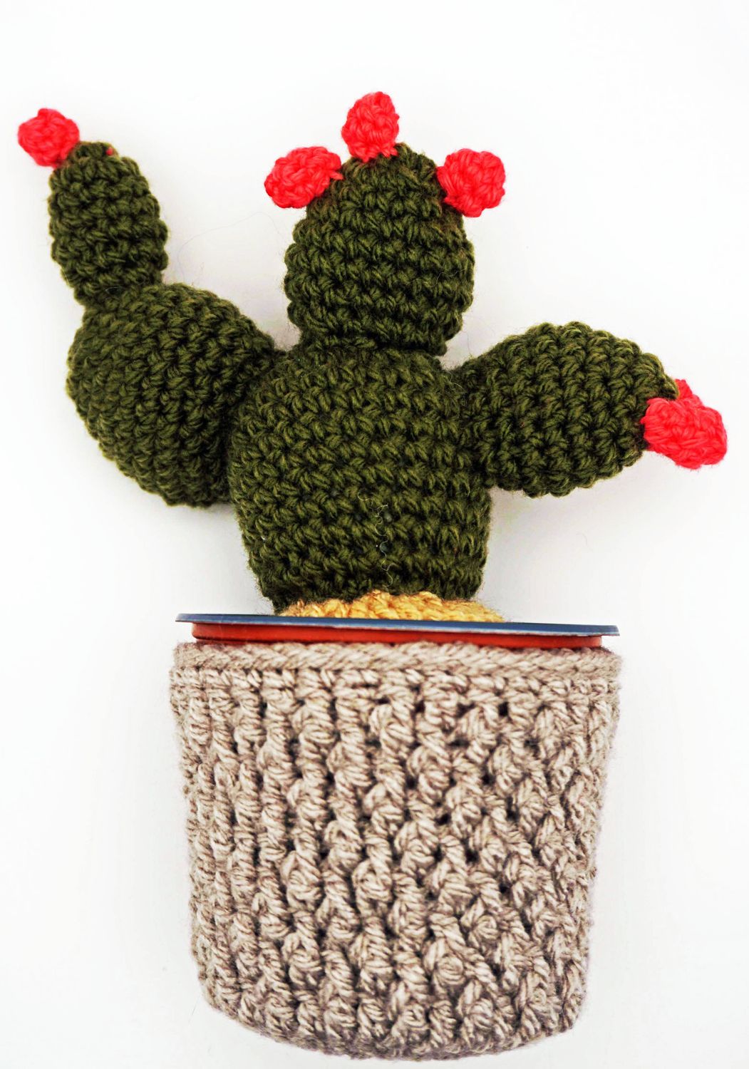 Crochet Cactus
