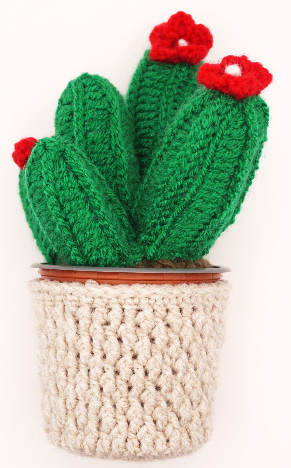 Crochet Cactus