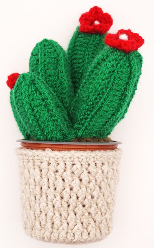 Crochet Cactus