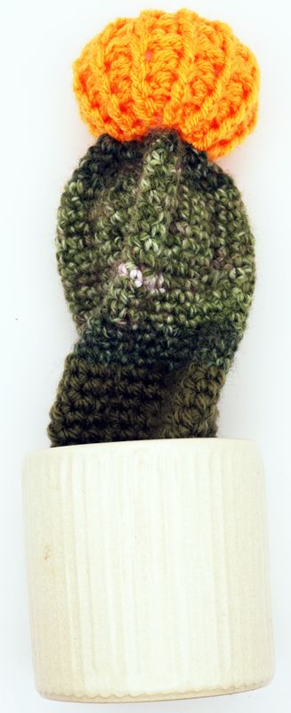 Crochet Cactus