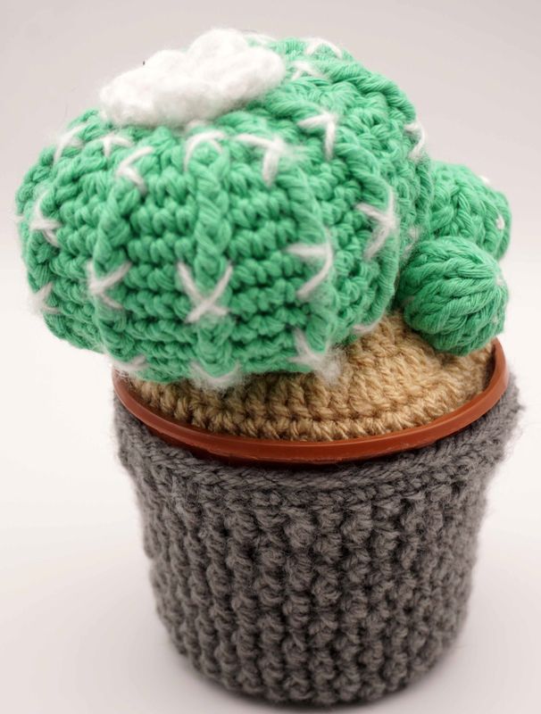 Crochet Cactus