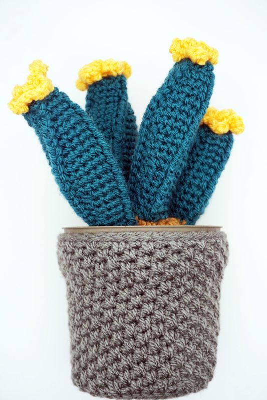 Crochet Cactus