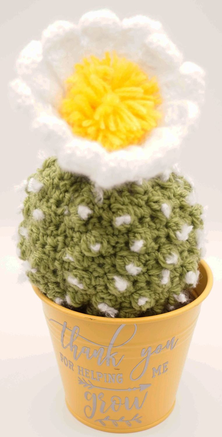 Crochet Cactus