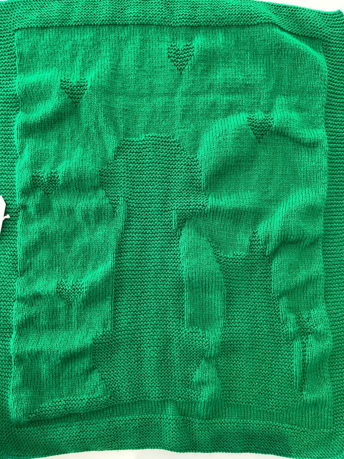 Dog & Cat Green Blanket