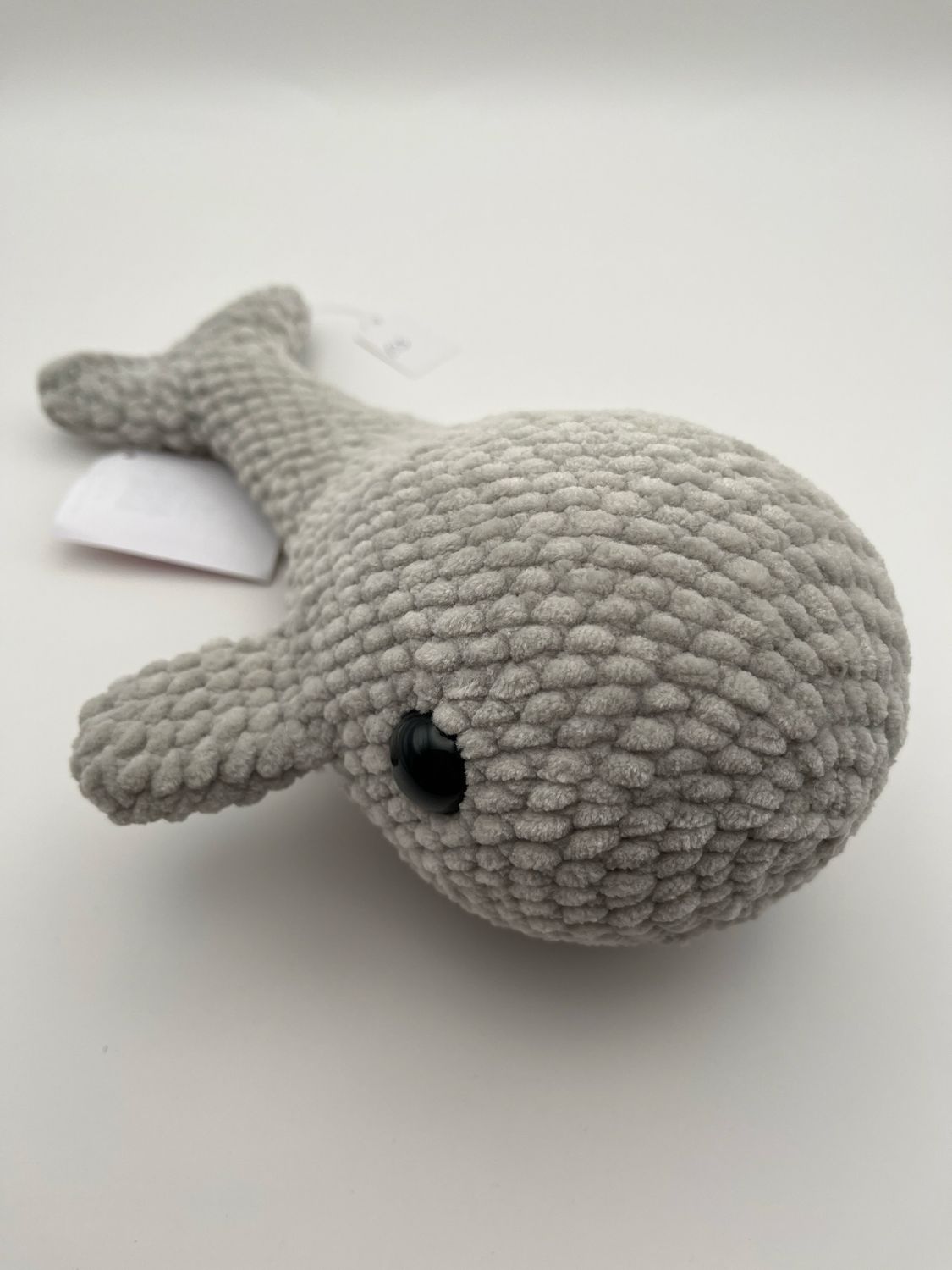 Grey Whale