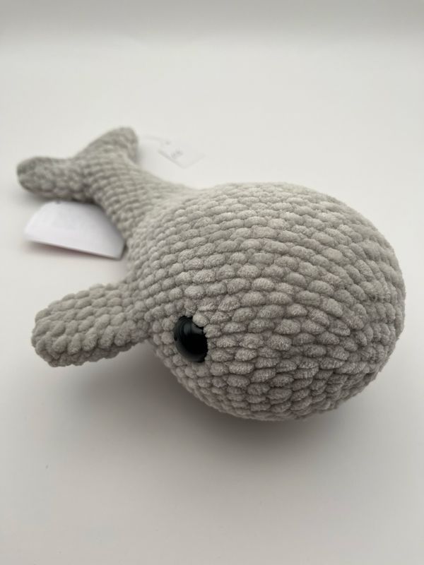 Grey Whale