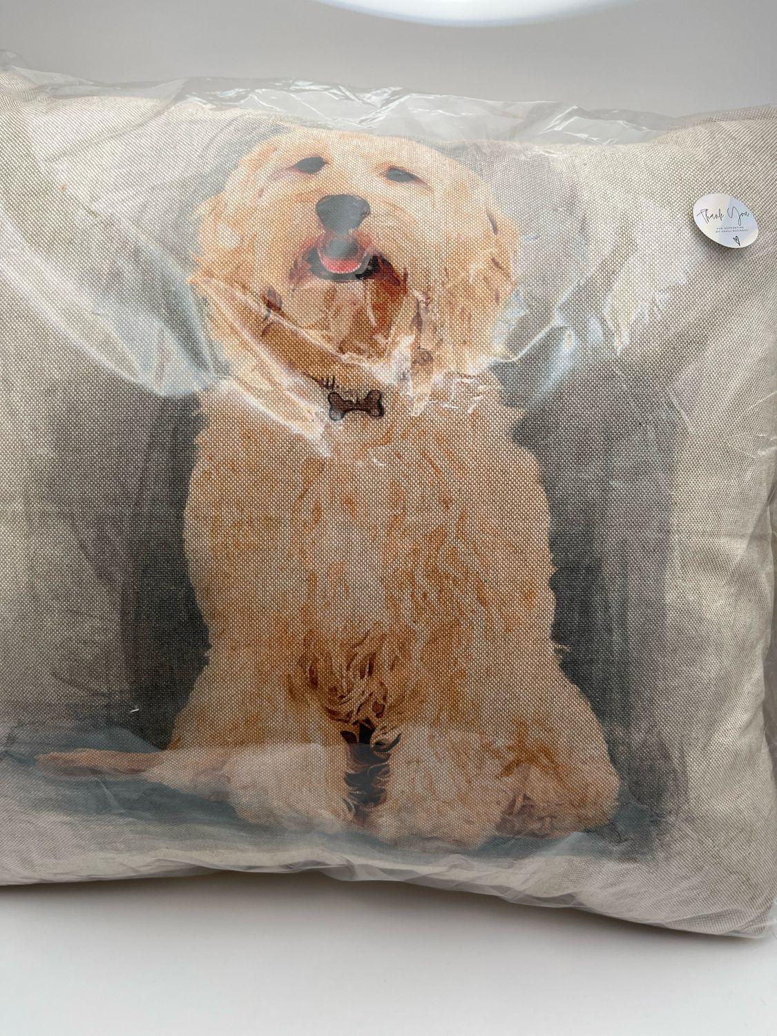 Cockerpoodle Cushion