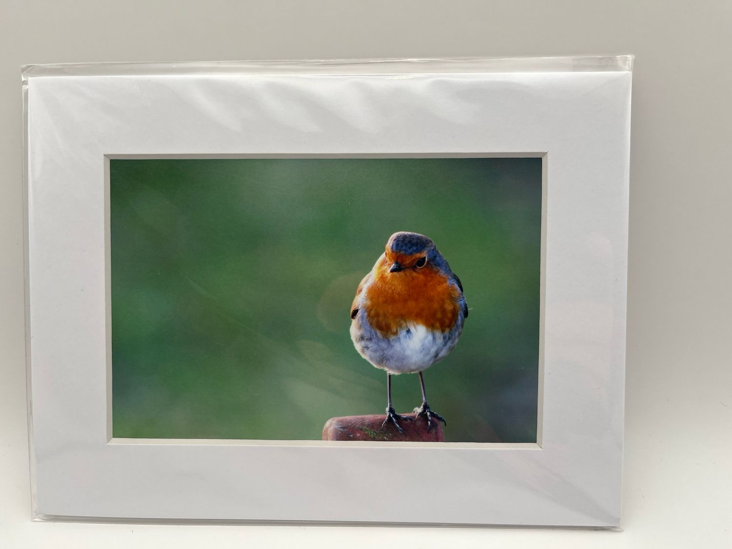 Robin on post
