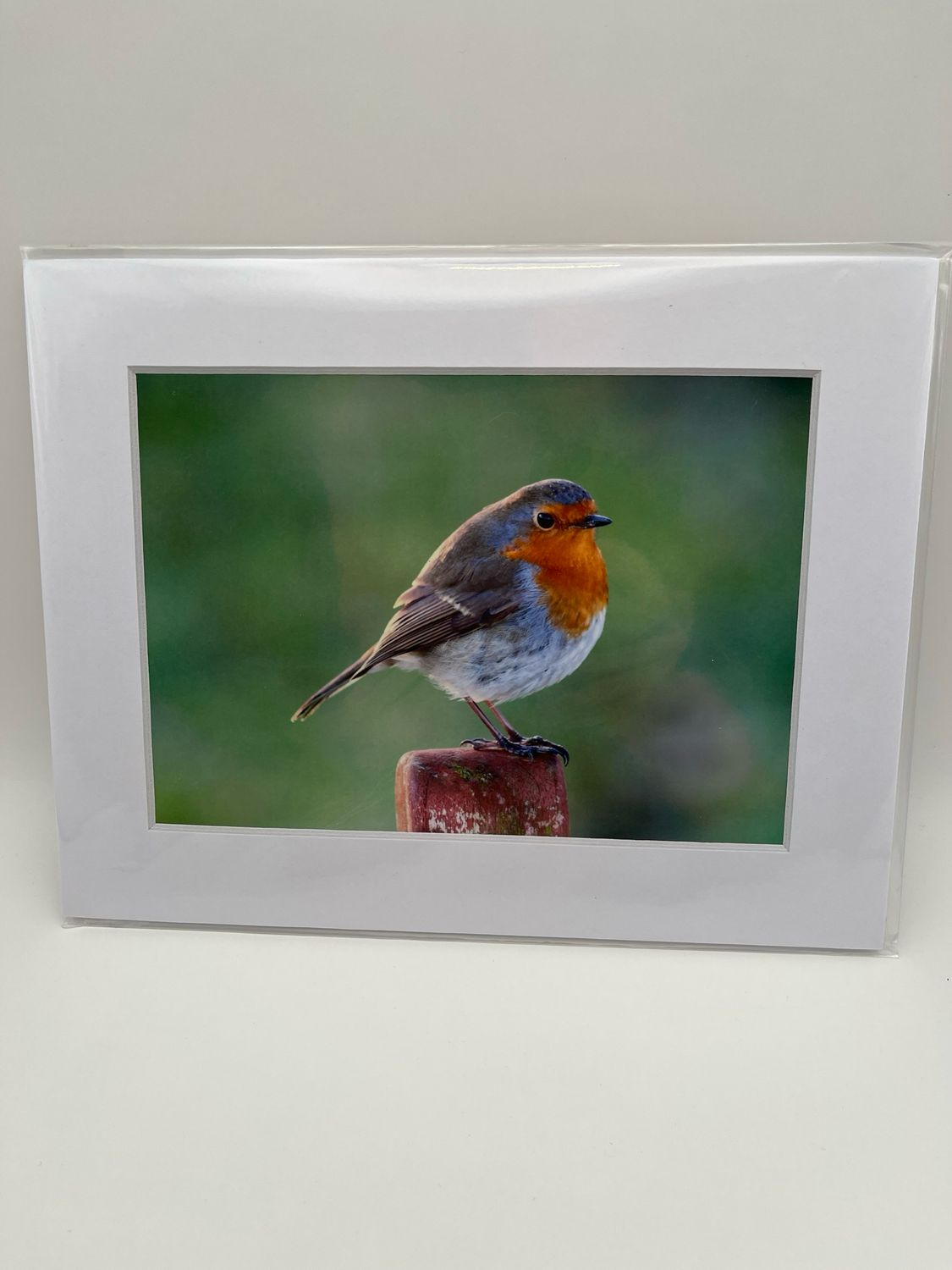 Robin on post
