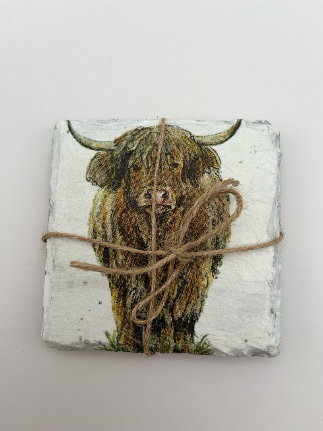 Set of 2 Highland Cow Coasters