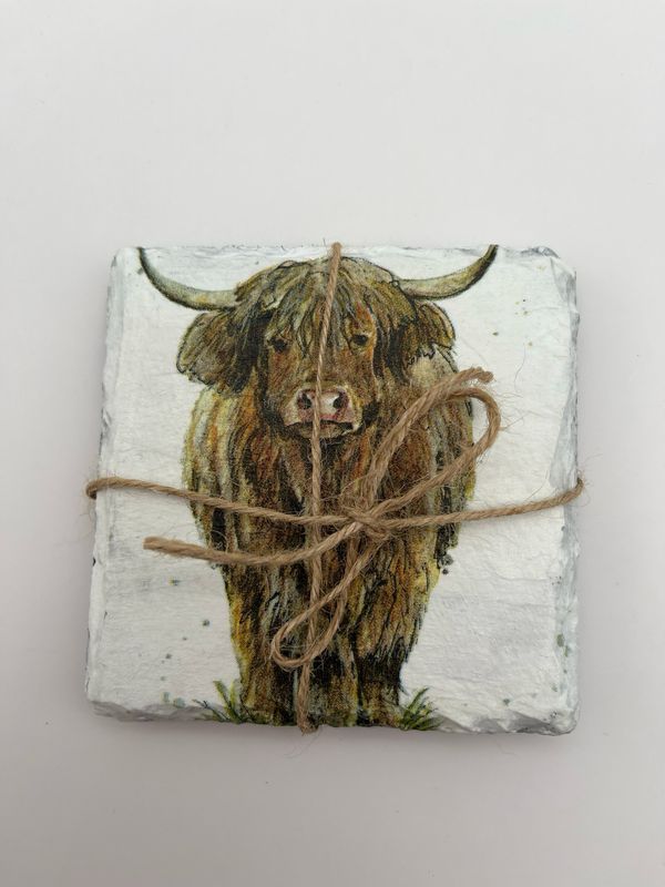 Set of 2 Highland Cow Coasters