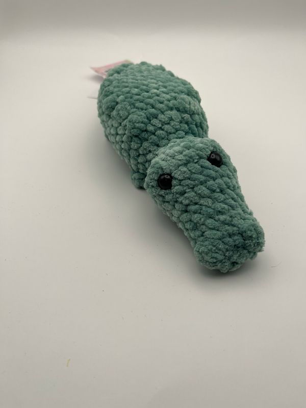 Medium Gator