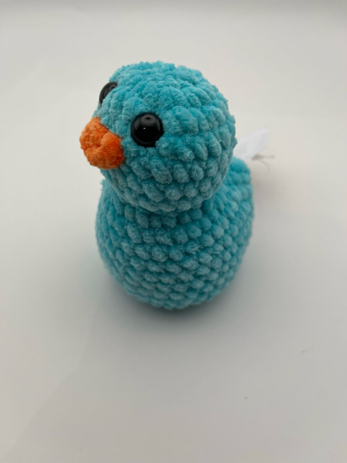 Blue Duck