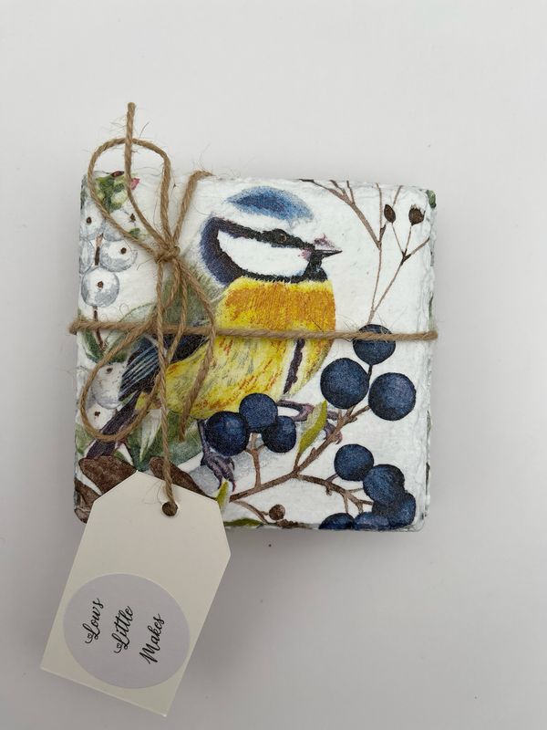 Set of 4 Blue Tit Coasters