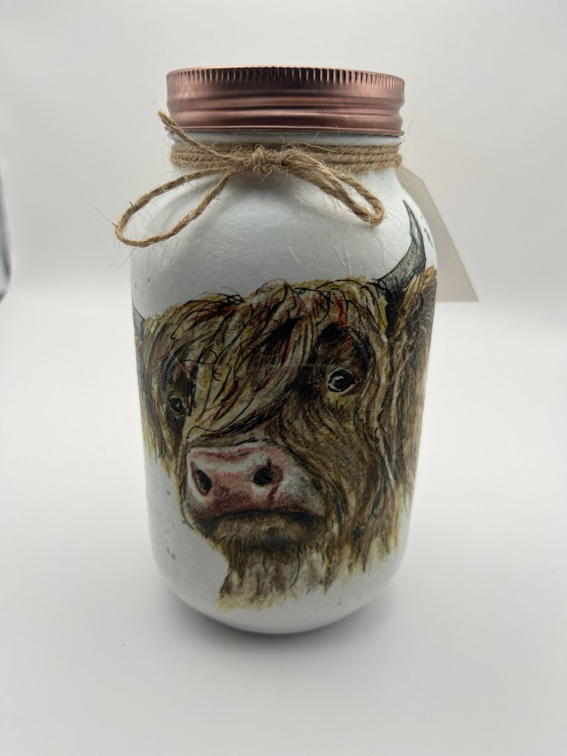 Large Highland Cow Money Jar