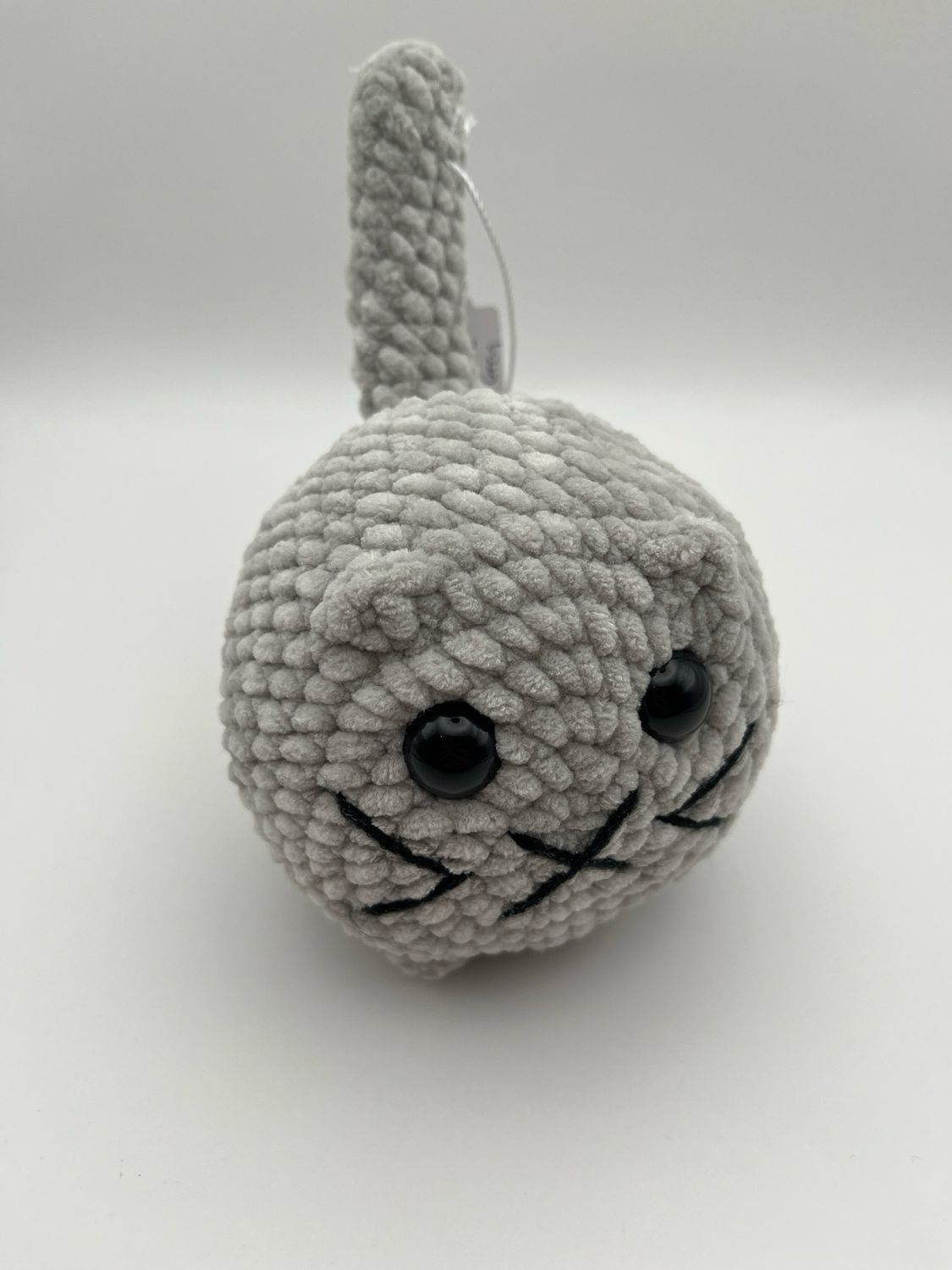 Grey Cat