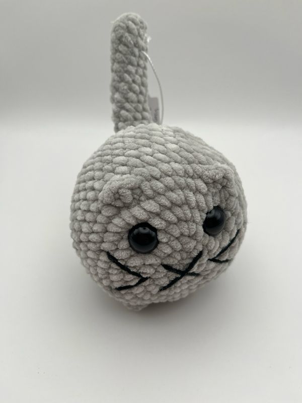 Grey Cat