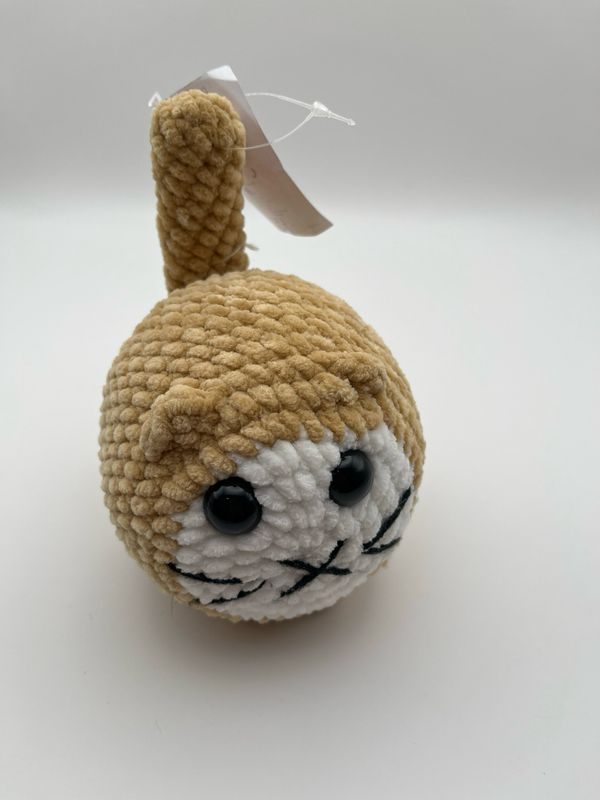 Beige Cat