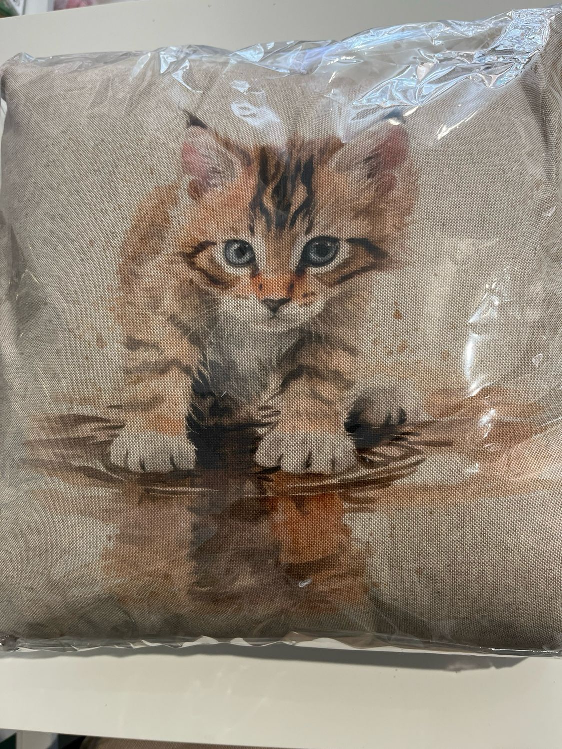 Tabby Kitten Cushion