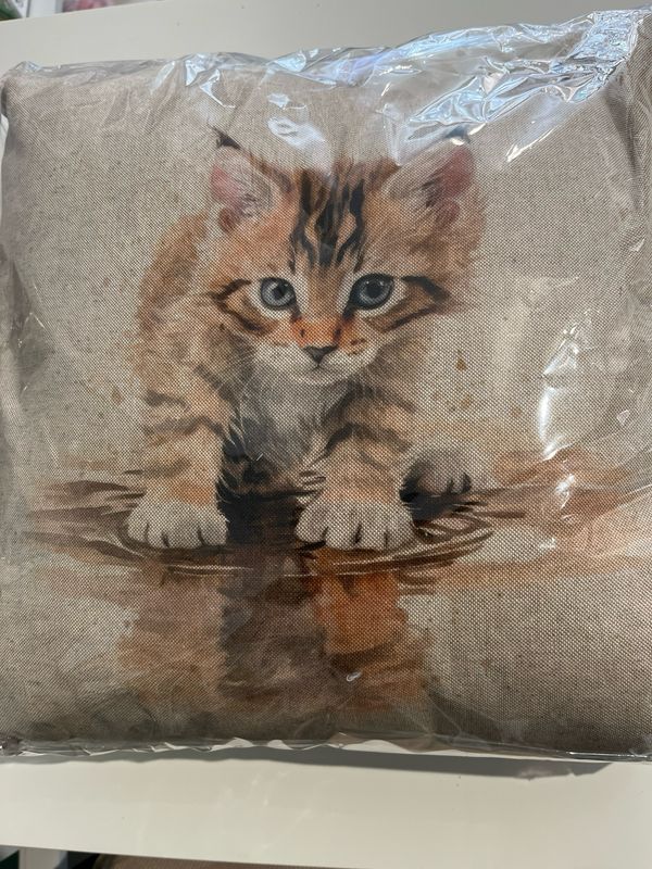 Tabby Kitten Cushion
