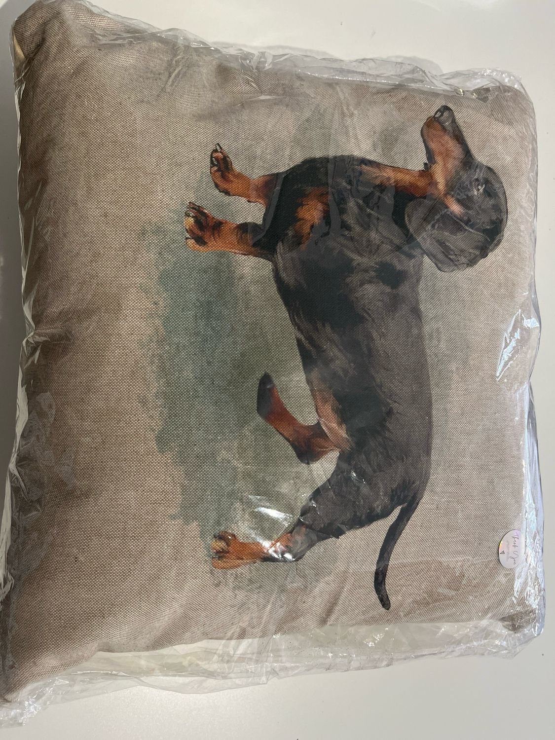 Dachsund Cushion