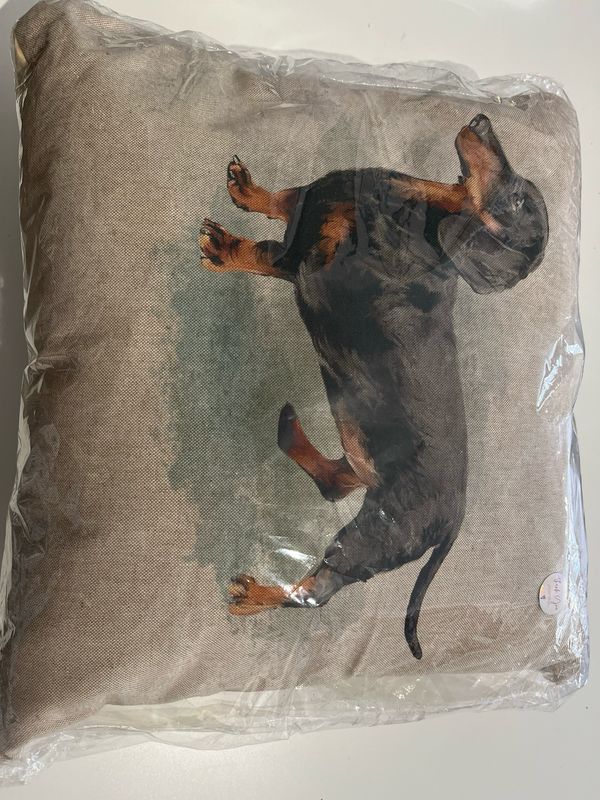 Dachsund Cushion
