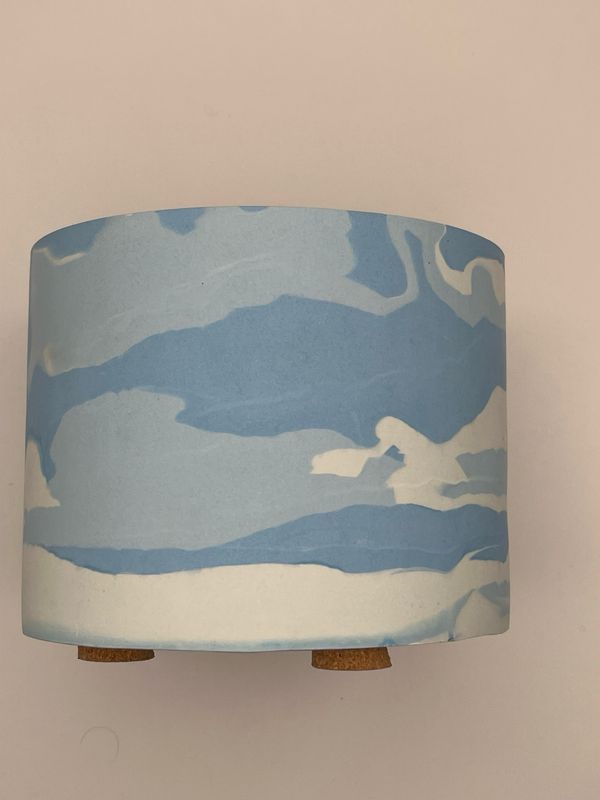 Plant Pot