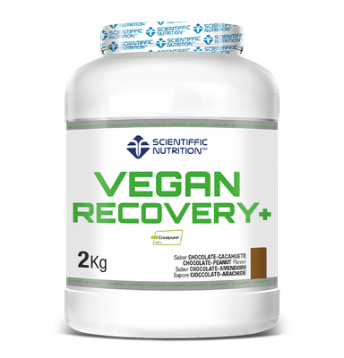 Scientiffic Nutrition Vegan Recovery 2Kg Chocolate