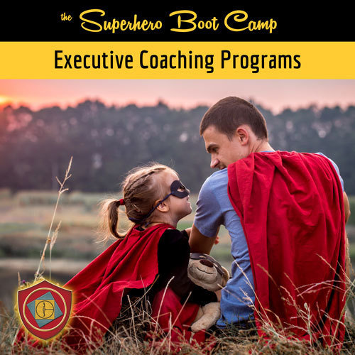 Executive Level Coaching Programs LVL B (Monthly)